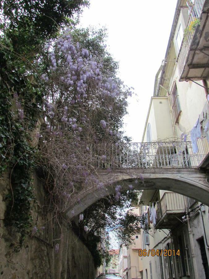 Appartement Bastia Au Pied Du Vieux Port Exteriör bild